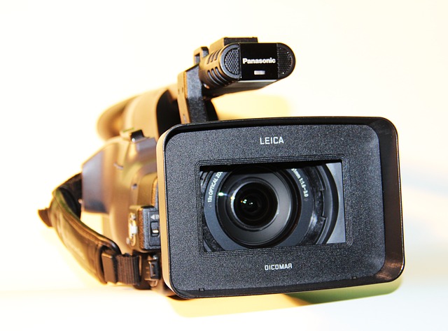 Image by Wojciech Magdziak vel Wierzbicki from Pixabay